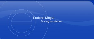 Federal Mogul