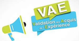 vae - coachs et associes