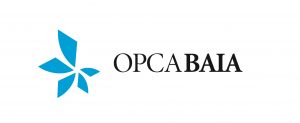 opcabaia - coachs & associes